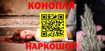 сатива Кунгур