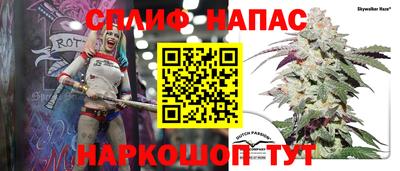 сатива Кунгур