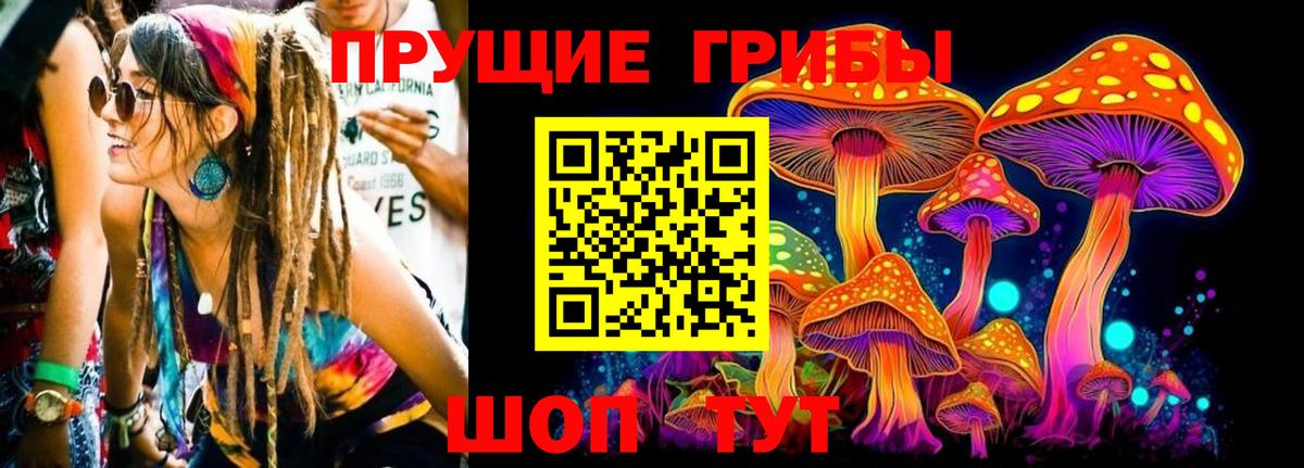 Галлюциногенные грибы Psilocybine cubensis  Вход с VPN  Псилоцибиновые грибы мицелий  Лабинск 